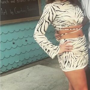 Zebra Print Crop Top and Skirt Set